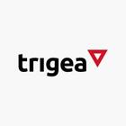 Trigea Funds