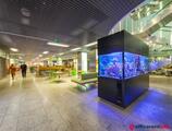 Offices to let in BB Centrum-Budova Filadelfie