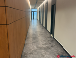 Offices to let in Offices premises Millenium in Liberec