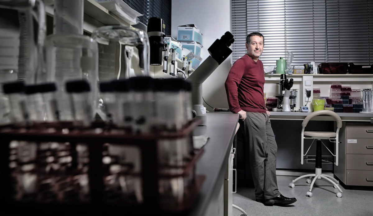 Another hope for a new cancer drug. Sotio from the PPF group already has a third product in the patient testing phase