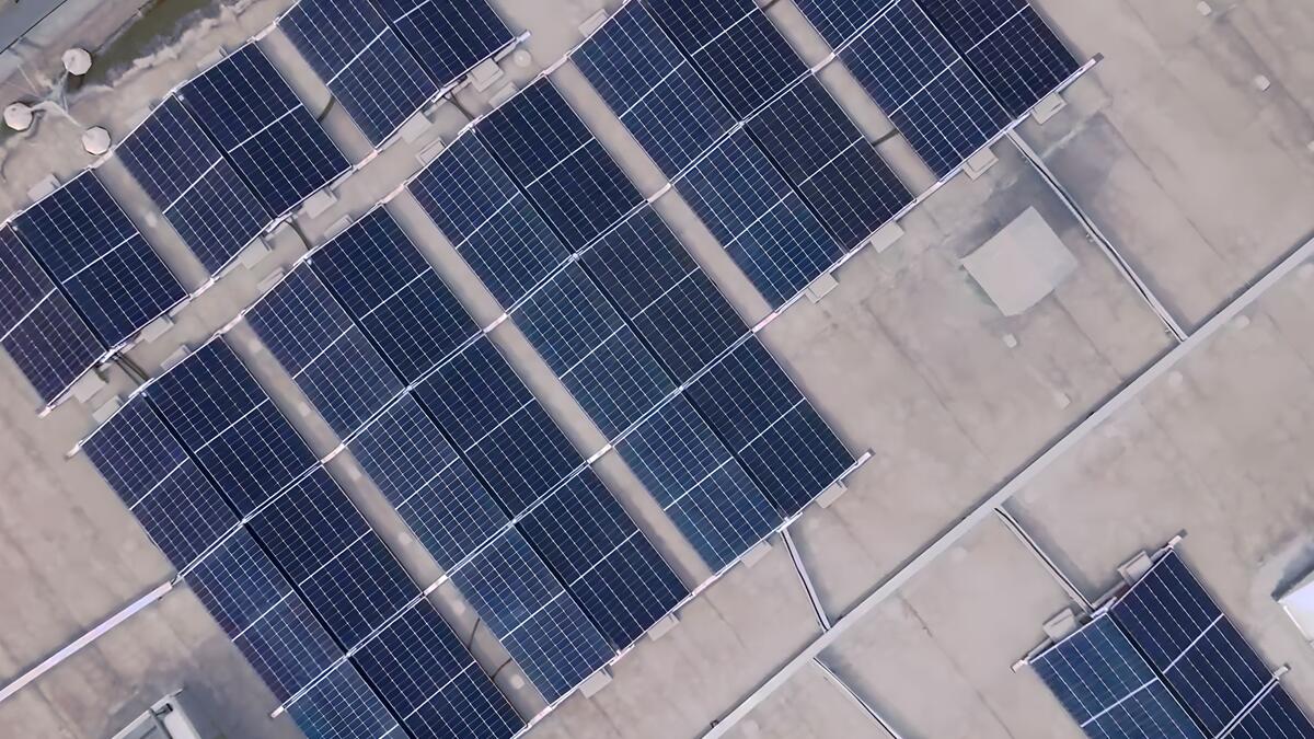 Unlock Sustainable Value: HSF System's Low-Carbon Buildings for Renters