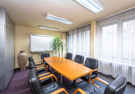 Rental of small offices in the center of Prague near I.P. Pavlova Square