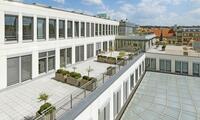 Palladium Offices